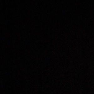 Meet your Posher, Landyn